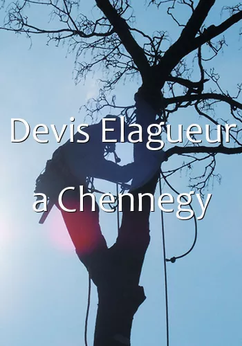 Devis Elagueur a Chennegy