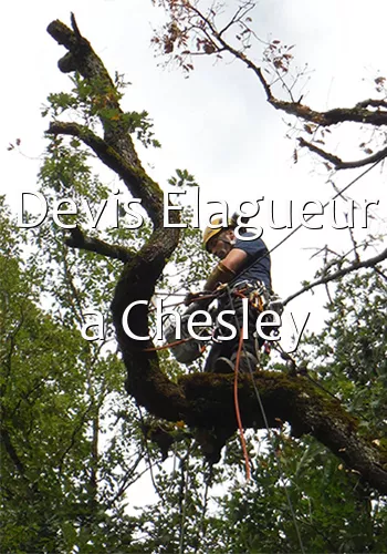 Devis Elagueur a Chesley