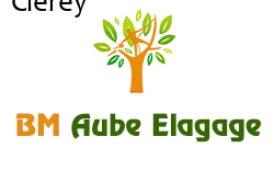 elagage-bm-elagueur