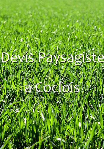 Devis Paysagiste a Coclois