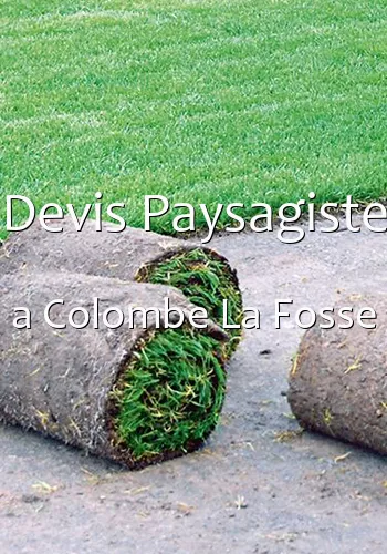 Devis Paysagiste a Colombe La Fosse