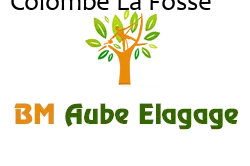 elagage-bm-elagueur