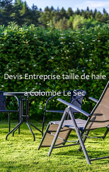 Devis Entreprise taille de haie a Colombe Le Sec