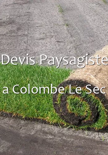 Devis Paysagiste a Colombe Le Sec