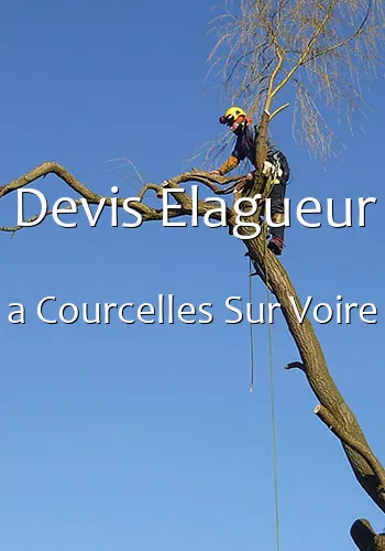 Devis Elagueur a Courcelles Sur Voire