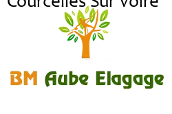 elagage-bm-elagueur