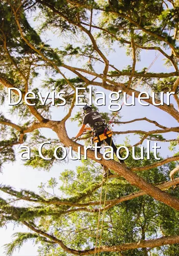 Devis Elagueur a Courtaoult