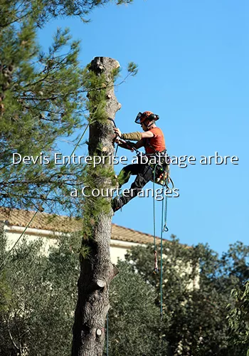 Devis Entreprise abattage arbre a Courteranges