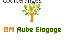 elagage-bm-elagueur