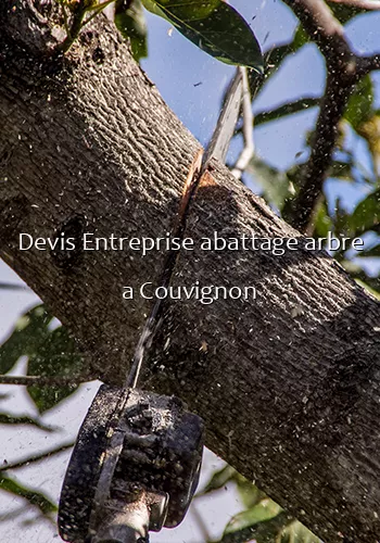 Devis Entreprise abattage arbre a Couvignon