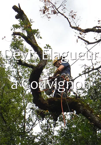 Devis Elagueur a Couvignon