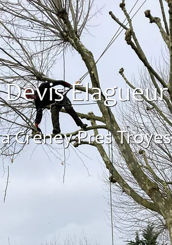 Devis Elagueur a Creney Pres Troyes