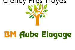 elagage-bm-elagueur