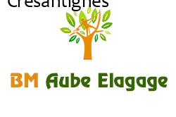 elagage-bm-elagueur