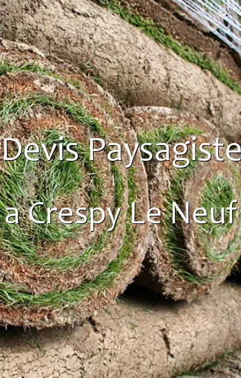 Devis Paysagiste a Crespy Le Neuf