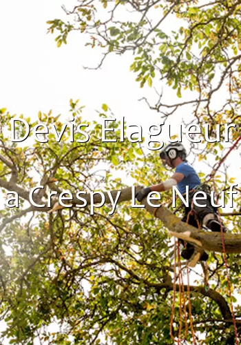 Devis Elagueur a Crespy Le Neuf