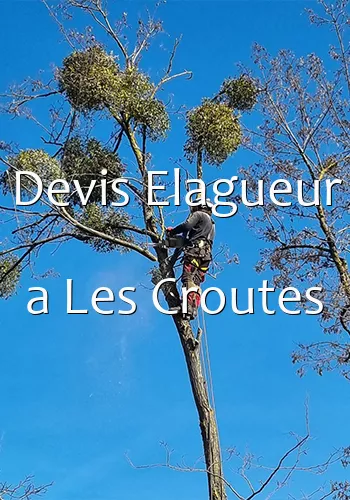 Devis Elagueur a Les Croutes