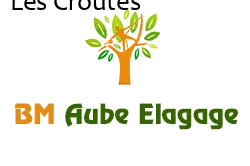 elagage-bm-elagueur