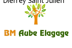 elagage-bm-elagueur