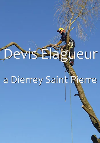 Devis Elagueur a Dierrey Saint Pierre