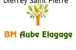 elagage-bm-elagueur