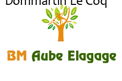 elagage-bm-elagueur