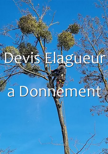 Devis Elagueur a Donnement