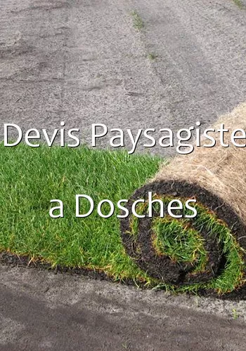 Devis Paysagiste a Dosches