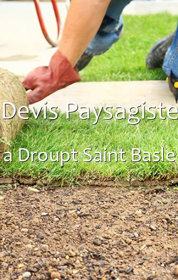 Devis Paysagiste a Droupt Saint Basle