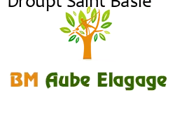 elagage-bm-elagueur