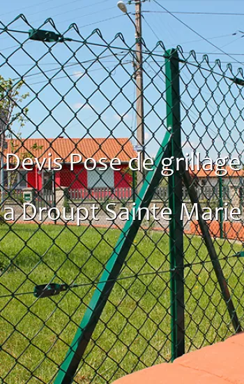 Devis Pose de grillage a Droupt Sainte Marie