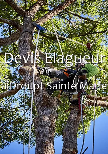 Devis Elagueur a Droupt Sainte Marie