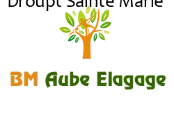 elagage-bm-elagueur