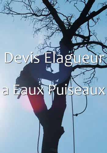 Devis Elagueur a Eaux Puiseaux