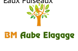 elagage-bm-elagueur