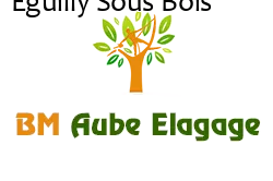 elagage-bm-elagueur