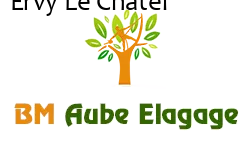 elagage-bm-elagueur