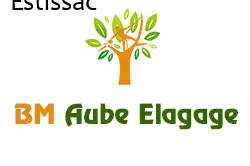 elagage-bm-elagueur