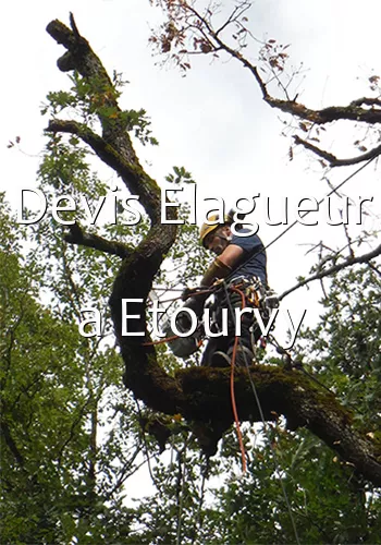 Devis Elagueur a Etourvy