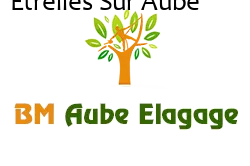 elagage-bm-elagueur