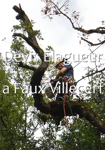 Devis Elagueur a Faux Villecerf