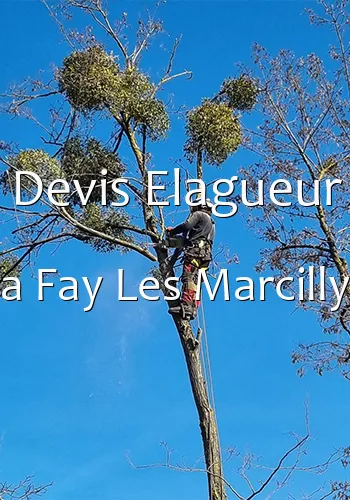 Devis Elagueur a Fay Les Marcilly