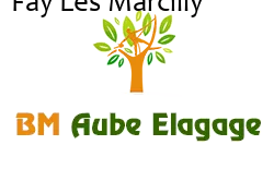 elagage-bm-elagueur