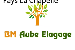 elagage-bm-elagueur