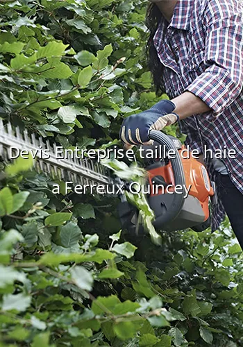 Devis Entreprise taille de haie a Ferreux Quincey