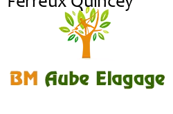 elagage-bm-elagueur