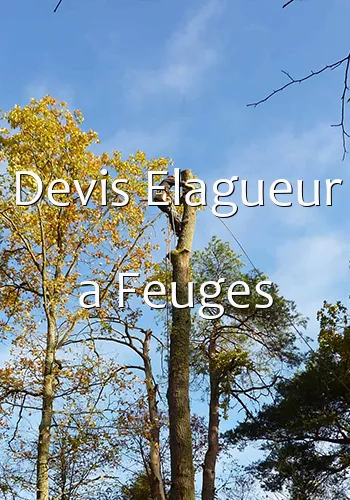 Devis Elagueur a Feuges