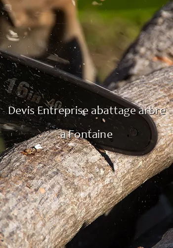 Devis Entreprise abattage arbre a Fontaine