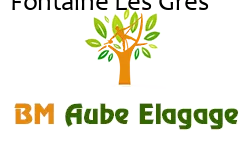 elagage-bm-elagueur