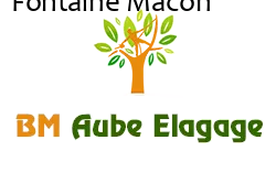 elagage-bm-elagueur